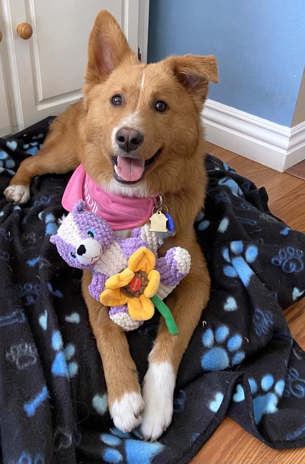 /Images/uploads/Friends of Seal Beach Animal Care Center/2022sbacc/entries/21203thumb.jpg